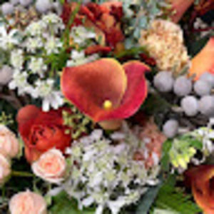 Meet your Posher, Geri